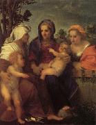 Andrea del Sarto Madonna and Child with St.Catherine oil painting artist